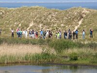 NL, Noord-Holland, Texel 57, Saxifraga-Foto Fitis-Sytske Dijksen
