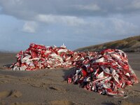 NL, Noord-Holland, Texel 65, Saxifraga-Foto Fitis-Sytske Dijksen