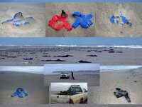 NL, Noord-Holland, Texel 68, Saxifraga-Foto Fitis-Sytske Dijksen