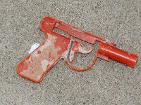 NL, Noord-Holland, Texel 73, Saxifraga-Foto Fitis-Sytske Dijksen