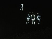 NL, Noord-Holland, Texel, Ayeslag 2, Saxifraga-Foto Fitis-Sytske Dijksen