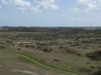 NL, Noord-Holland, Texel, Bertusnol 10, Saxifraga-Willem van Kruijsbergen