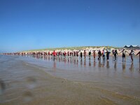NL, Noord-Holland, Texel, Climate chain, paal 9 30, Saxifraga-Foto Fitis-Sytske Dijksen