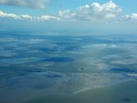 NL, Noord-Holland, Texel, De Cocksdorp 53, Saxifraga-Foto Fitis-Sytske Dijksen