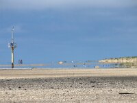NL, Noord-Holland, Texel, De Hors 111, Saxifraga-Foto Fitis-Sytske Dijksen
