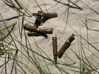 NL, Noord-Holland, Texel, De Hors 116, Saxifraga-Foto Fitis-Sytske Dijksen