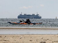 NL, Noord-Holland, Texel, De Hors 131, Saxifraga-Foto Fitis-Sytske Dijksen