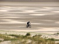 NL, Noord-Holland, Texel, De Hors 132 Saxifraga-Foto Fitis-Sytske Dijksen
