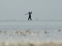 NL, Noord-Holland, Texel, De Hors 133, Saxifraga-Foto Fitis-Sytske Dijksen