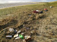 NL, Noord-Holland, Texel, De Hors 134, Saxifraga-Foto Fitis-Sytske Dijksen