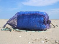 NL, Noord-Holland, Texel, De Hors 148, Saxifraga-Foto Fitis-Sytske Dijksen