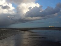 NL, Noord-Holland, Texel, De Hors 157, Saxifraga-Foto Fitis-Sytske Dijksen