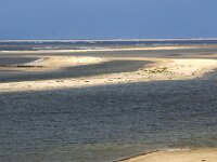 NL, Noord-Holland, Texel, De Hors 164, Saxifraga-Foto Fitis-Sytske Dijksen