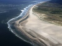 NL, Noord-Holland, Texel, De Hors 172, Saxifraga-Foto Fitis-Sytske Dijksen