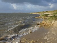 NL, Noord-Holland, Texel, De Hors 187, Saxifraga-Foto Fitis-Sytske Dijksen