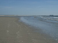 NL, Noord-Holland, Texel, De Hors 29, Saxifraga-Willem van Kruijsbergen