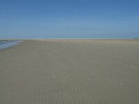 NL, Noord-Holland, Texel, De Hors 30, Saxifraga-Willem van Kruijsbergen