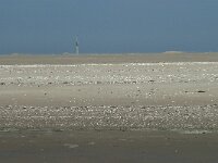 NL, Noord-Holland, Texel, De Hors 31, Saxifraga-Willem van Kruijsbergen
