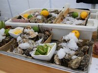 NL, Noord-Holland, Texel, De Koog 1, Saxifraga-Foto Fitis-Sytske Dijksen