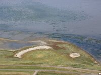 NL, Noord-Holland, Texel, De Schorren 15, Saxifraga-Foto Fitis-Sytske Dijksen