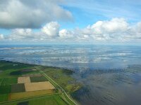 NL, Noord-Holland, Texel, De Schorren 16, Saxifraga-Foto Fitis-Sytske Dijksen