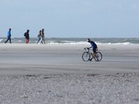 NL, Noord-Holland, Texel, De Slufter 139, Saxifraga-Foto Fitis-Sytske Dijksen