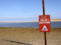 NL, Noord-Holland, Texel, De Slufter 148, Saxifraga-Foto Fitis-Sytske Dijksen