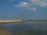 NL, Noord-Holland, Texel, De Slufter 47, Saxifraga-Jan van der Straaten