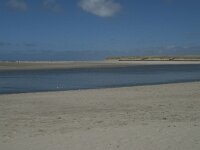 NL, Noord-Holland, Texel, De Slufter 71, Saxifraga-Willem van Kruijsbergen