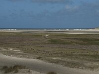 NL, Noord-Holland, Texel, De Slufter 80, Saxifraga-Willem van Kruijsbergen
