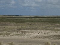 NL, Noord-Holland, Texel, De Slufter 83, Saxifraga-Willem van Kruijsbergen