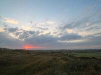 NL, Noord-Holland, Texel, De Tuintjes 1, Saxifraga-Bart Vastenhouw