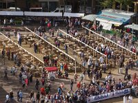 NL, Noord-Holland, Texel, Den Burg 2, Saxifraga-Foto Fitis-Sytske Dijksen