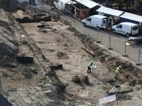 NL, Noord-Holland, Texel, Groene Plaats 2, Saxifraga-Foto Fitis-Sytske Dijksen