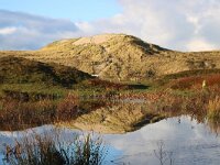 NL, Noord-Holland, Texel, Groote Vlak 15, Saxifraga-Foto Fitis-Sytske Dijksen