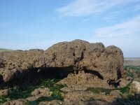 NL, Noord-Holland, Texel, Kwelder De Volharding 26, Saxifraga-Foto Fitis-Sytske Dijksen