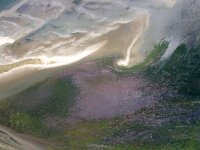 NL, Noord-Holland, Texel, Kwelder De Volharding 27, Saxifraga-Foto Fitis-Sytske Dijksen