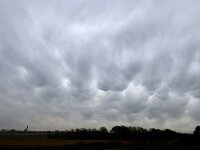 NL, Noord-Holland, Texel, Mammatocumulus, Ruige Hoek 1, Saxifraga-Foto Fitis-Sytske Dijksen