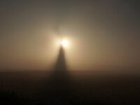 NL, Noord-Holland, Texel, Mist, Den Hoorn 20, Saxifraga-Foto Fitis-Sytske Dijksen