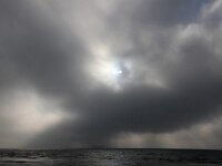 NL, Noord-Holland, Texel, Mist, Marsdiep 15, Saxifraga-Foto Fitis-Sytske Dijksen