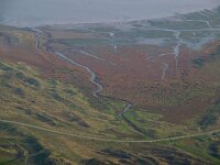 NL, Noord-Holland, Texel, Mokbaai 16, Saxifraga-Foto Fitis-Sytske Dijksen