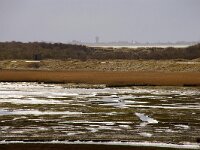 NL, Noord-Holland, Texel, Mokbaai 17, Saxifraga-Foto Fitis-Sytske Dijksen