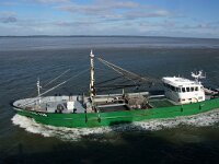 NL, Noord-Holland, Texel, Oosterend 5, Mytilus edulis, Saxifraga-Foto Fitis-Sytske Dijksen