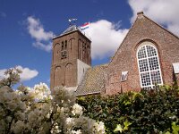 NL, Noord-Holland, Texel, Oosterend 9, Saxifraga-Foto Fitis-Sytske Dijksen