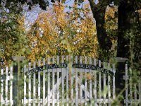 NL, Noord-Holland, Texel, Oudeschild 21, Saxifraga-Foto Fitis-Sytske Dijksen