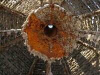 NL, Noord-Holland, Texel, Oudeschild 6, mussel basket, Mytilus edulis, Saxifraga-Foto Fitis-Sytske Dijksen