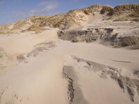 NL, Noord-Holland, Texel, Paal 12 21, Saxifraga-Foto Fitis-Sytske Dijksen
