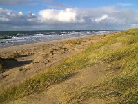 NL, Noord-Holland, Texel, Paal 12 27, Saxifraga-Foto Fitis-Sytske Dijksen