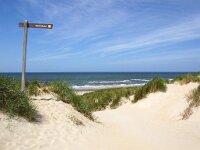 NL, Noord-Holland, Texel, Paal 14 9, Saxifraga-Foto Fitis-Sytske Dijksen