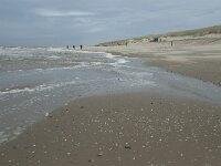 NL, Noord-Holland, Texel, Paal 15 2, Saxifraga-Willem van Kruijsbergen